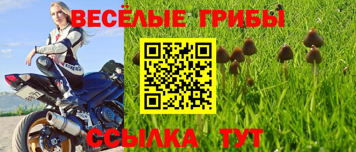 Галлюциногенные грибы прущие грибы  Вход с VPN  Усинск 